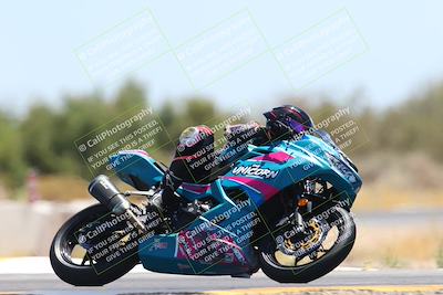 media/May-12-2024-SoCal Trackdays (Sun) [[ad755dc1f9]]/12-Turn 7 (1150am)/